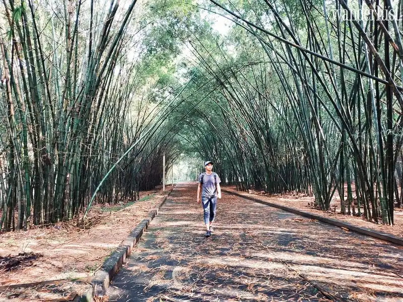 Mách nhau những điểm check in hot nhất tại Bình Dương 7 Tạp chí Du lịch Wanderlust Tips | Mách nhau những điểm check in hot nhất tại Bình Dương