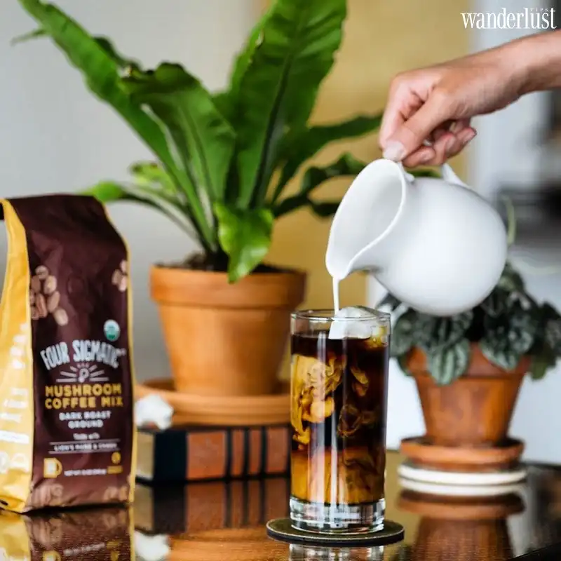 Shroom Room: Thưởng thức hương vị cà phê nấm độc đáo 6 Tạp chí Du lịch Wanderlust Tips | Shroom Room: Thưởng thức hương vị cà phê nấm độc đáo