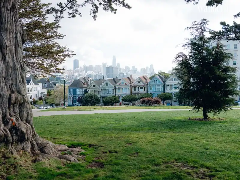 wanderlust tips the great empty chum anh hiem hoi cua nhan loai trong dai dich covid 1919