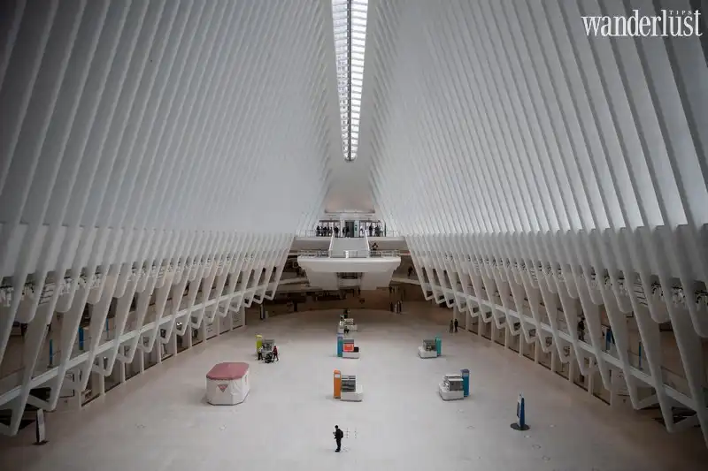 wanderlust tips the great empty chum anh hiem hoi cua nhan loai trong dai dich covid 1921