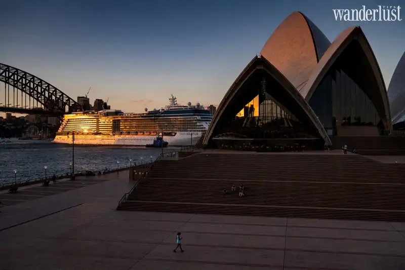 wanderlust tips the great empty chum anh hiem hoi cua nhan loai trong dai dich covid 1925