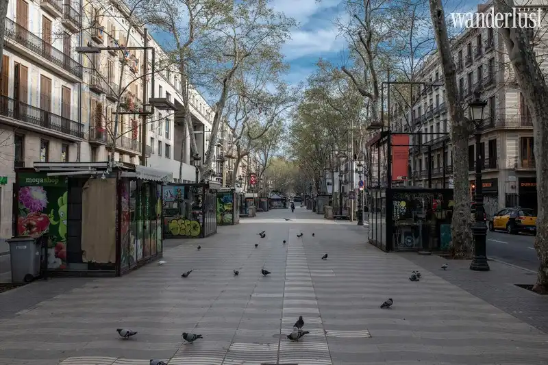 wanderlust tips the great empty chum anh hiem hoi cua nhan loai trong dai dich covid 197