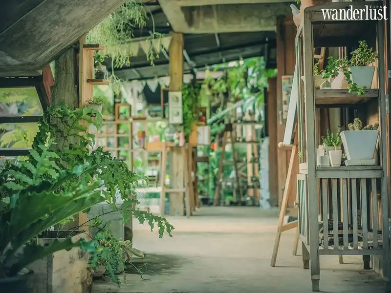 Tạp chí Du lịch Wanderlust Tips | Thời gian ngừng trôi nơi làng nghệ thuật Baan Kang Wat