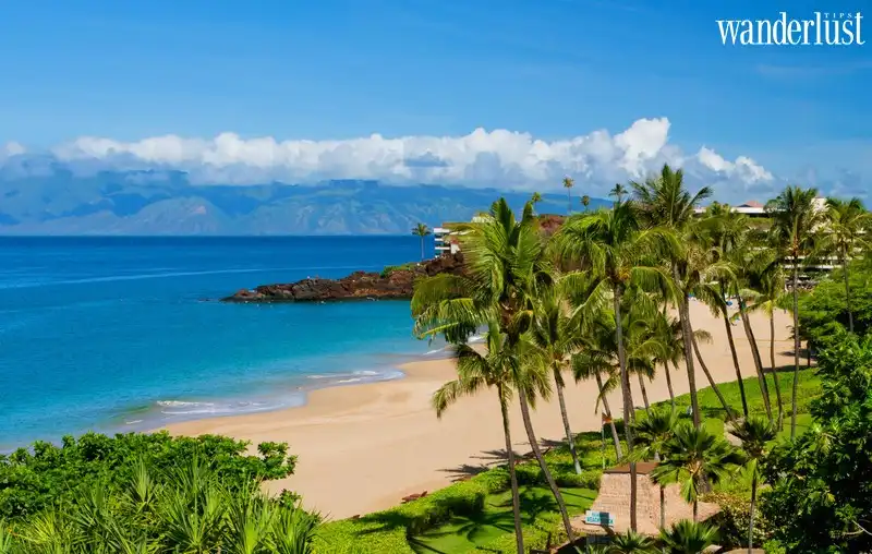 Maui và top 5 bãi biển nhất định phải đặt chân tới 9 Tạp chí Du lịch Wanderlust Tips | Top 5 bãi biển đẹp nhất Maui, Hawaii