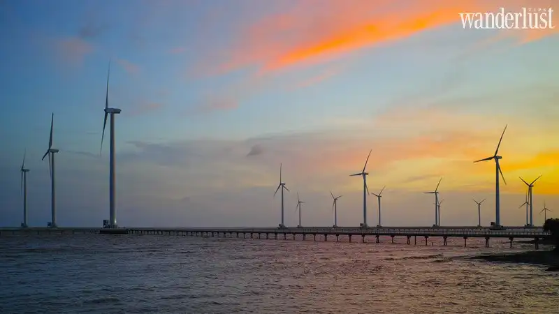 Tạp chí Du lịch Wanderlust Tips | Đi dọc Việt Nam và check in tại những cánh đồng quạt gió yên bình