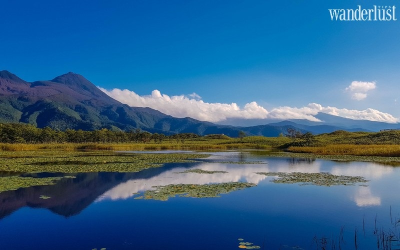Kinh nghiệm du lịch Hokkaido: Tận hưởng vẻ đẹp hoàn mỹ