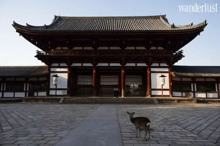 Tạp chí du lịch Wanderlust Tips | Một mùa hoa anh đào đầy tĩnh lặng tại Nhật Bản