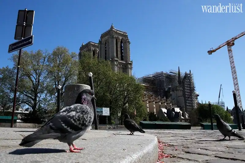 Nhà thờ Đức Bà Paris ngổn ngang giữa đại dịch 7 Tạp chí Wanderlust Tips | Nhà thờ Đức Bà Paris ngổn ngang giữa đại dịch Covid-19