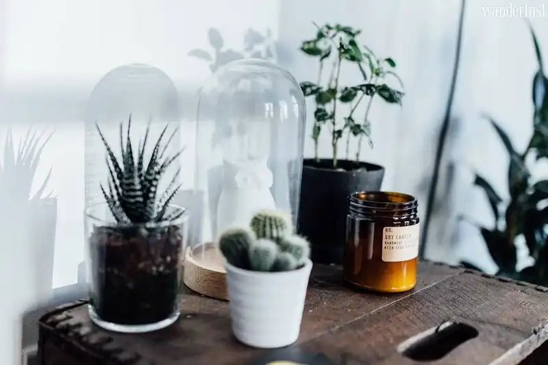 tap chi wanderlust tips tuyet chieu song vui song khoe trong thoi gian o nha do covid 192