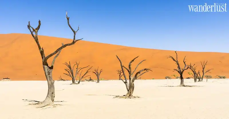 Bạn biết gì về Namibia: Vùng đất của những điều ngoạn mục 10 wanderlust tips ban biet gi ve namibia vung dat cua nhung dieu ngoan muc1