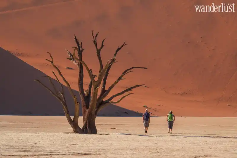Bạn biết gì về Namibia: Vùng đất của những điều ngoạn mục 7 Tạp chí Du lịch Wanderlust Tips | Bạn biết gì về Namibia: Vùng đất của những điều ngoạn mục