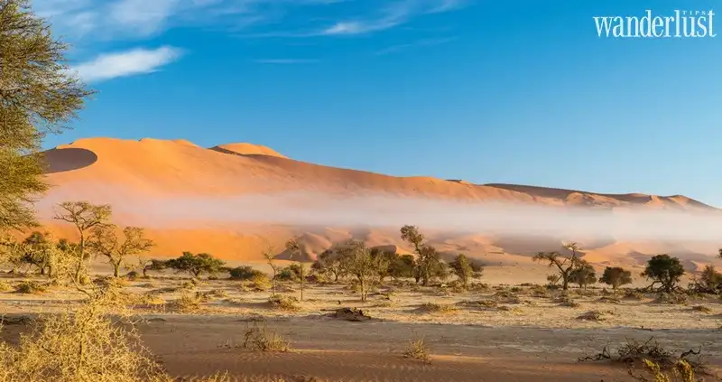 Bạn biết gì về Namibia: Vùng đất của những điều ngoạn mục 14 wanderlust tips ban biet gi ve namibia vung dat cua nhung dieu ngoan muc5