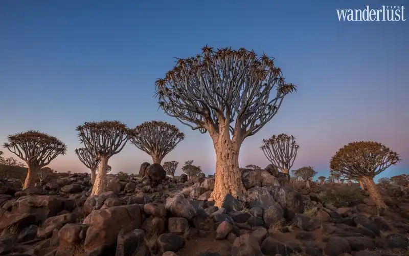 Bạn biết gì về Namibia: Vùng đất của những điều ngoạn mục 13 wanderlust tips ban biet gi ve namibia vung dat cua nhung dieu ngoan muc7