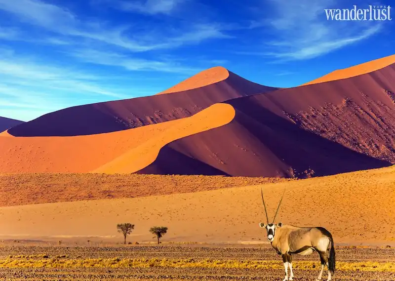 Tạp chí Du lịch Wanderlust Tips | Bạn biết gì về Namibia: Vùng đất của những điều ngoạn mục