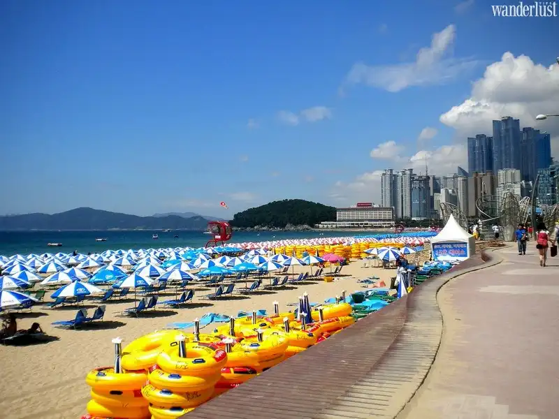 Du lịch Busan: Thành phố cảng biển sầm uất tại Hàn Quốc 8 Tạp chí Du lịch Wanderlust Tips | Du lịch Busan: Thành phố cảng biển sầm uất tại Hàn Quốc
