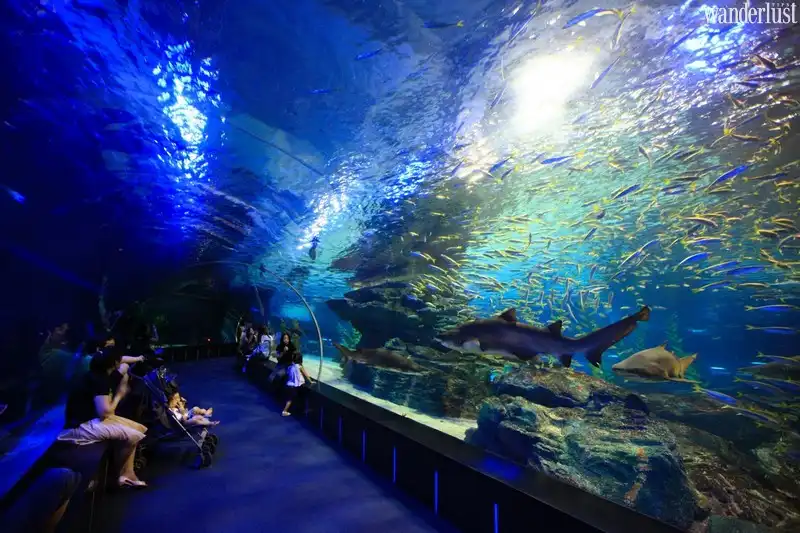 Du lịch Busan: Thành phố cảng biển sầm uất tại Hàn Quốc 12 wanderlust tips du lich busan thanh pho cang bien sam uat tai han quoc7