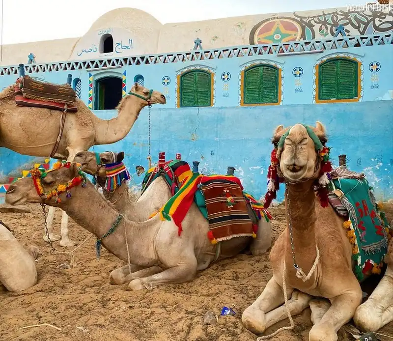 Ghé thăm làng cổ Nubian rực rỡ sắc màu 8 wanderlust tips ghe tham lang co nubian ruc ro sac mau7