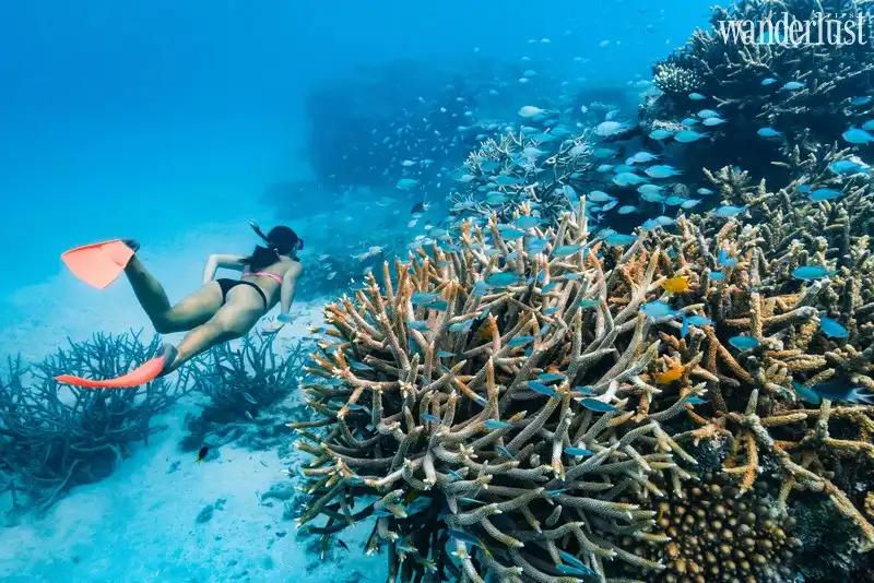 Tạp chí Du lịch Wanderlust Tips | Nhanh tới những điểm đến thiên đường có thể sắp biến mất