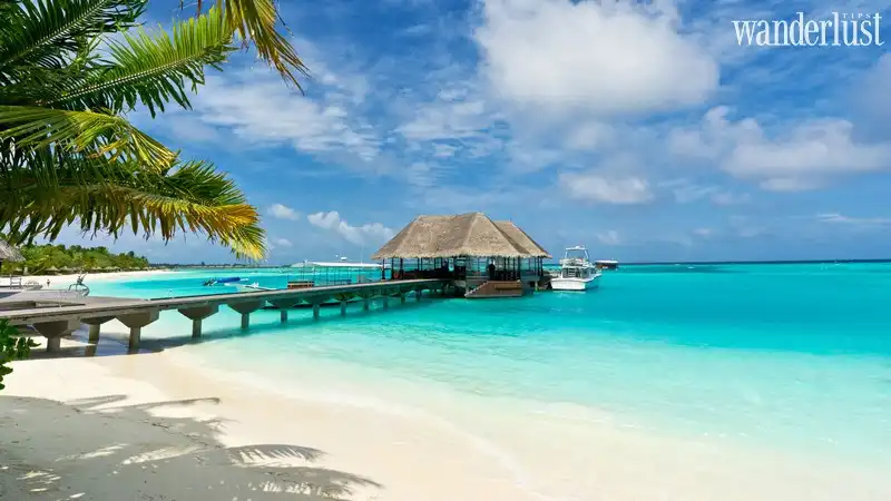 Tạp chí Du lịch Wanderlust Tips | Nhanh tới những điểm đến thiên đường có thể sắp biến mất