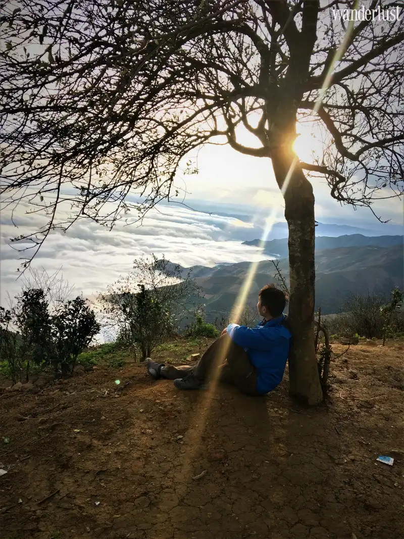 4 cây cô đơn để bạn thỏa sức sống ảo tại miền Bắc 10 wanderlust tips nhung bong cay co don nhung chang o da lat 6