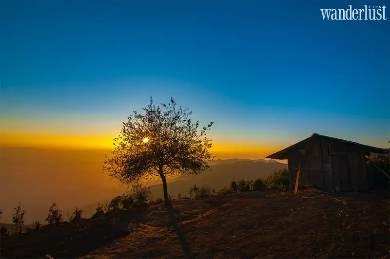 4 cây cô đơn để bạn thỏa sức sống ảo tại miền Bắc 9 wanderlust tips nhung bong cay co don nhung chang o da lat 7