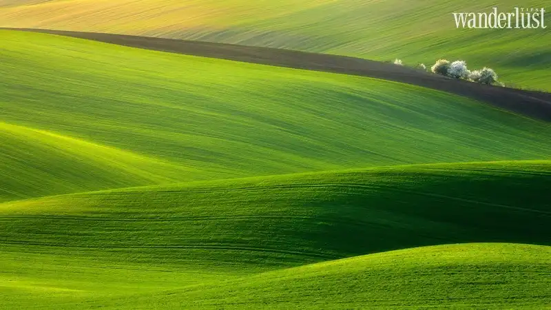 wanderlust tips nhung diem den co that ma chang ai ngo den phan 28