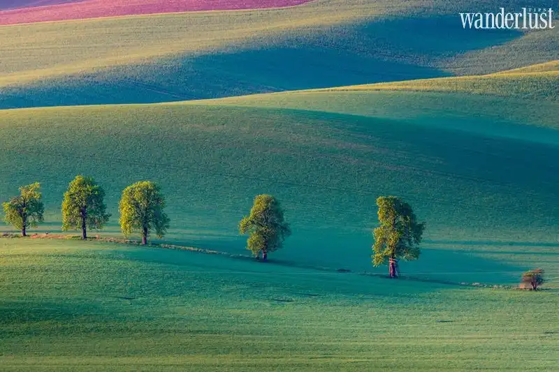 wanderlust tips nhung diem den co that ma chang ai ngo den phan 29