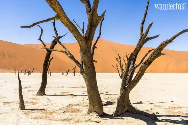 Tạp chí Du lịch Wanderlust Tips | Những điểm đến có thật mà chẳng ai ngờ đến