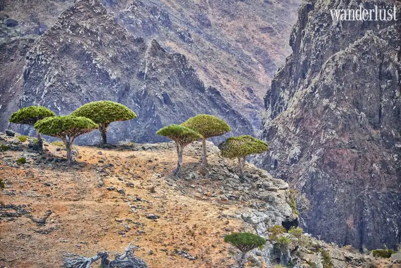 wanderlust tips nhung diem den co that ma chang ai ngo den7