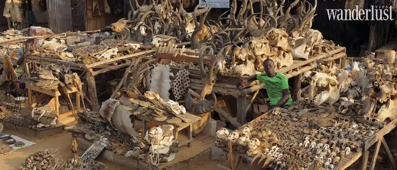 Rùng mình trước khu chợ bùa ngải Akodessewa Fetish tại Tây Phi 6 Tạp chí Du lịch Wanderlust Tips | Rùng mình trước khu chợ bùa ngải Akodessewa Fetish tại Tây Phi