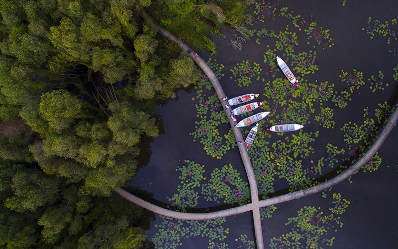 Mênh mang làng nổi Tân Lập