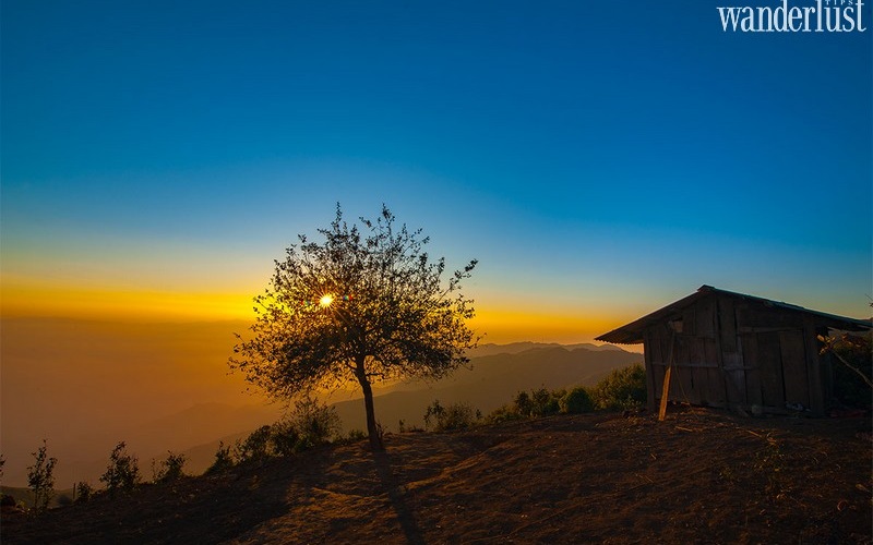 4 cây cô đơn để bạn thỏa sức sống ảo tại miền Bắc