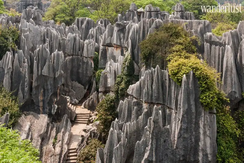 Tạp chí Du lịch Wanderlust Tips | Những điểm đến có thật mà chẳng ai ngờ đến (Phần 2)