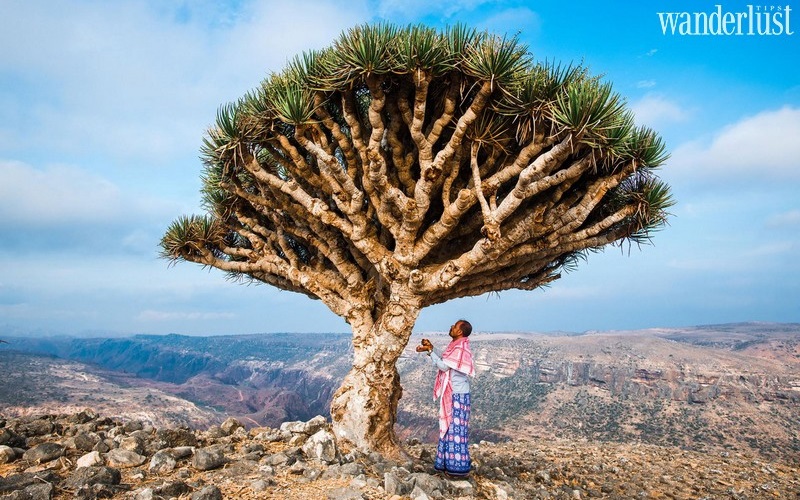 Những điểm đến có thật mà chẳng ai ngờ đến