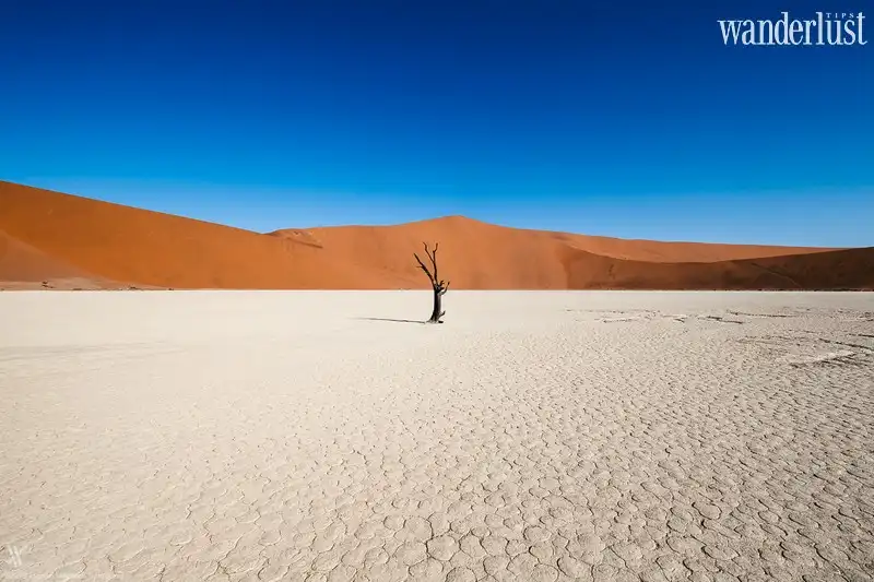 Tạp chí Du lịch Wanderlust Tips | Những điểm đến có thật mà chẳng ai ngờ đến