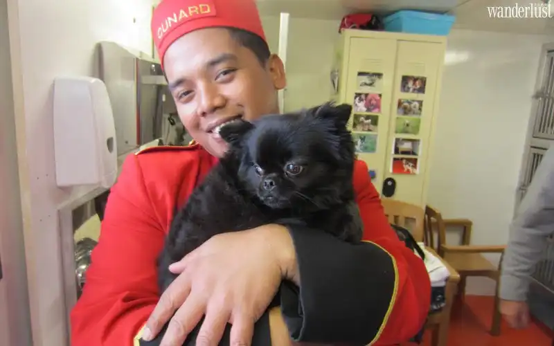 Mẹo vặt đưa thú cưng khám phá khắp mọi nơi 6 Tạp chí du lịch Wanderlust Tips | Cẩm nang du lịch cùng thú cưng bạn nên biết