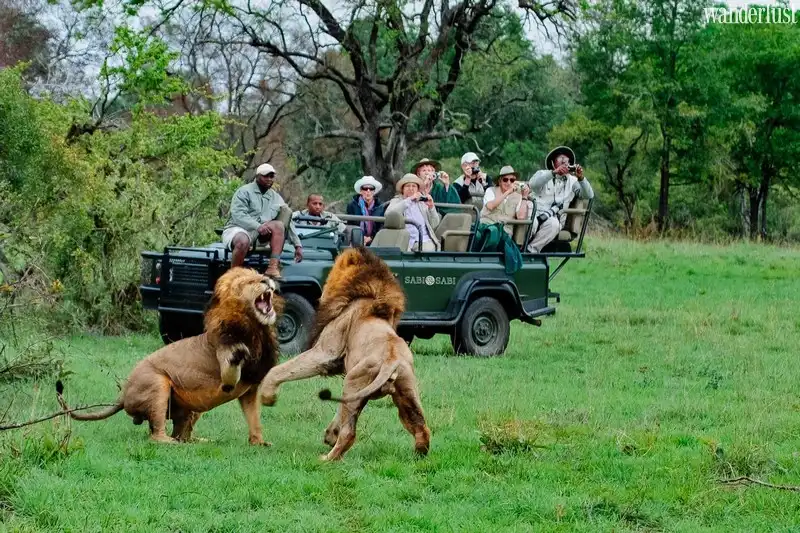 Châu Phi và những trải nghiệm đắt giá 6 Tạp chí Du lịch Wanderlust Tips | Châu Phi và những trải nghiệm nhất định phải thử