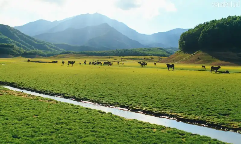 Có một Đà Nẵng không nhiều người biết đến 10 wanderlust tips co mot da nang khong nhieu nguoi biet den5