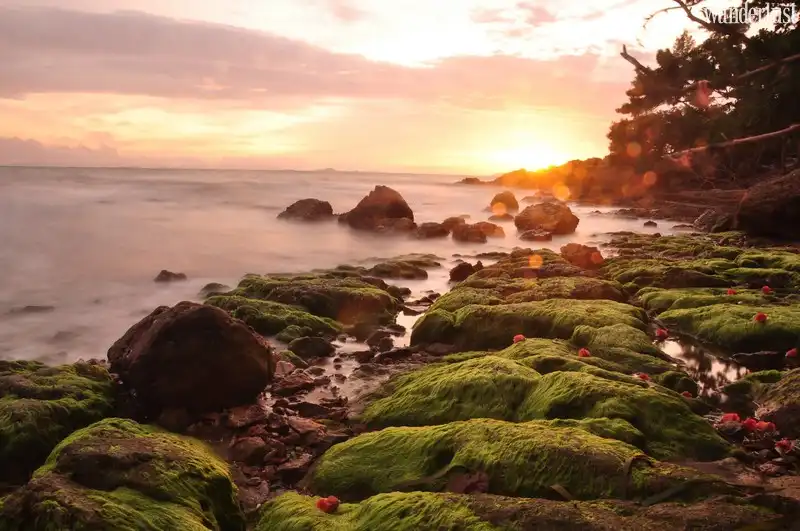 Tạp chí Du lịch Wanderlust Tips | Hút hồn cảnh sắc Hà Tiên