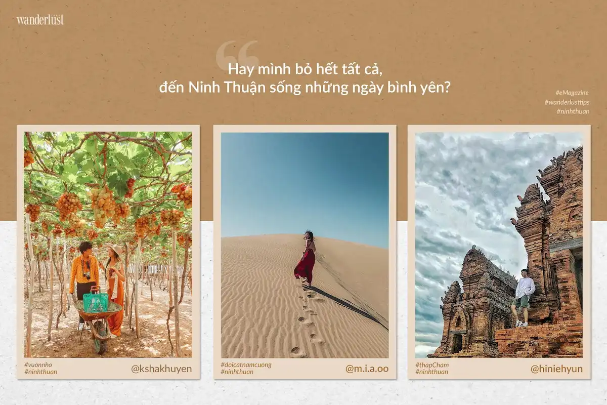 Mê mẩn nắng gió Ninh Thuận 7 Tạp chí Du lịch Wanderlust Tips | Mê mẩn nắng gió Ninh Thuận