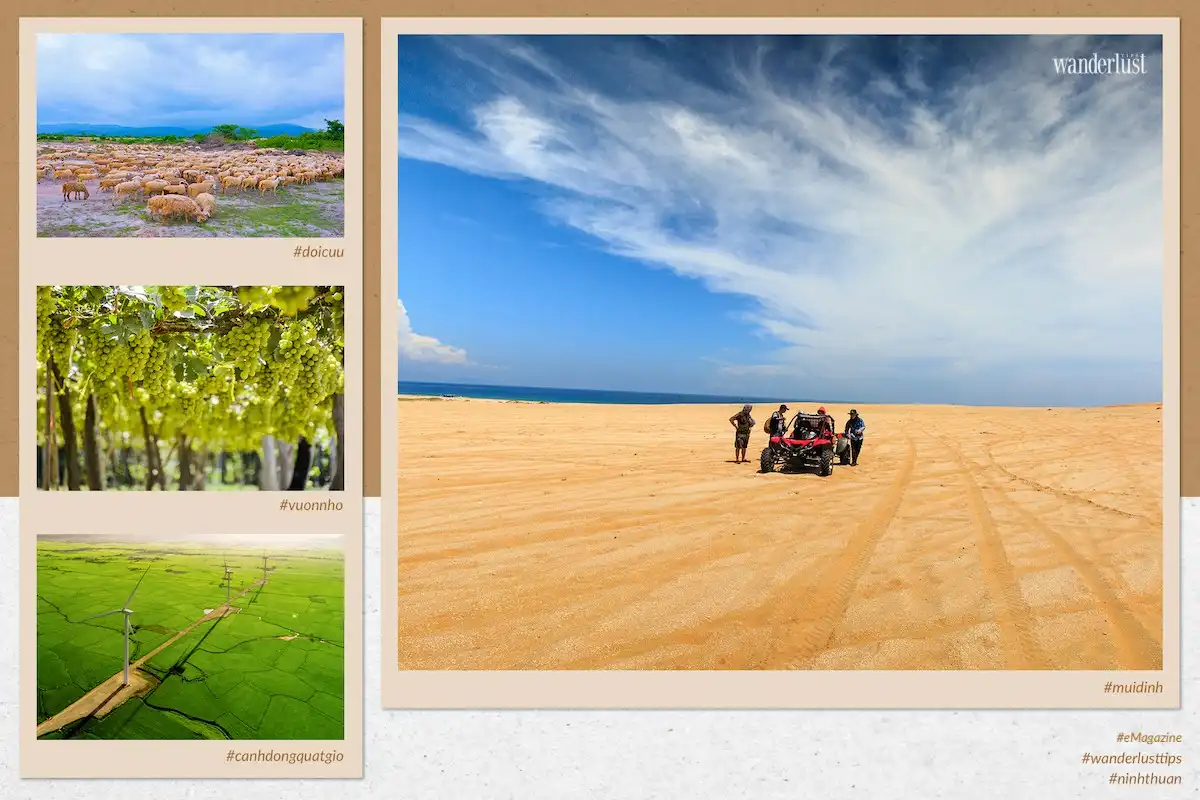 Mê mẩn nắng gió Ninh Thuận 8 Tạp chí Du lịch Wanderlust Tips | Mê mẩn nắng gió Ninh Thuận