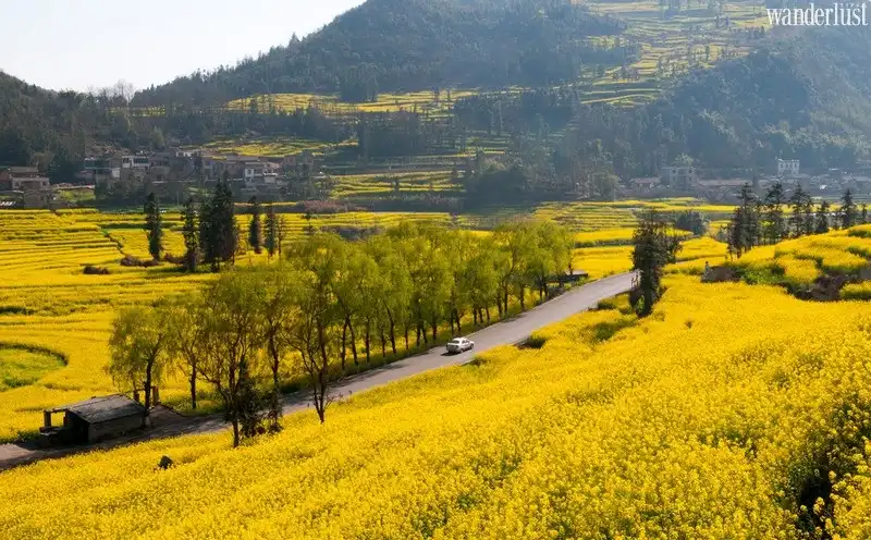 Tới Thanh Hải tìm vẻ đẹp sắc màu 9 wanderlust tips toi thanh hai tim ve dep sac mau2 1