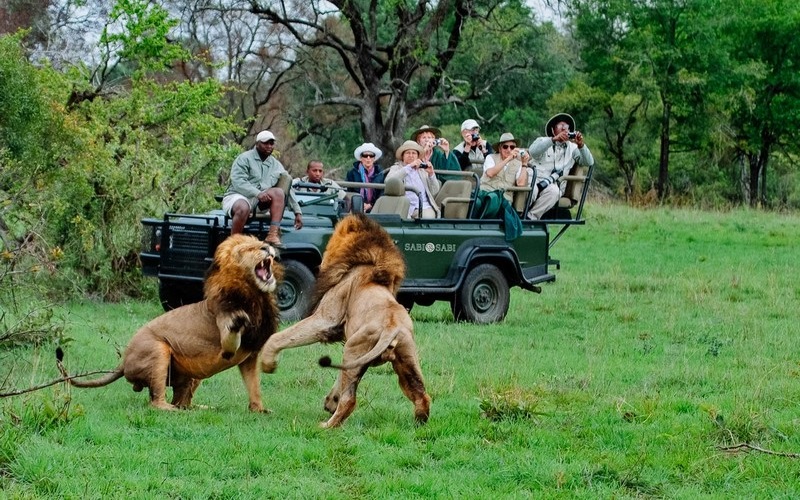 Châu Phi và những trải nghiệm đắt giá