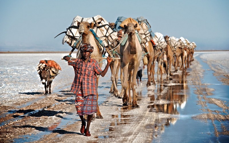 Vùng lõm Danakil: Say người tại nơi nóng nhất thế giới