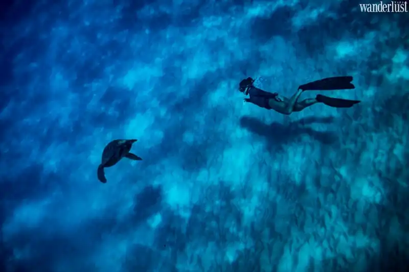 Bí quyết chụp hình dưới nước đẹp lung linh 7 tap chi wanderlust tips bi quyet chup hinh duoi nuoc dep lung linh2