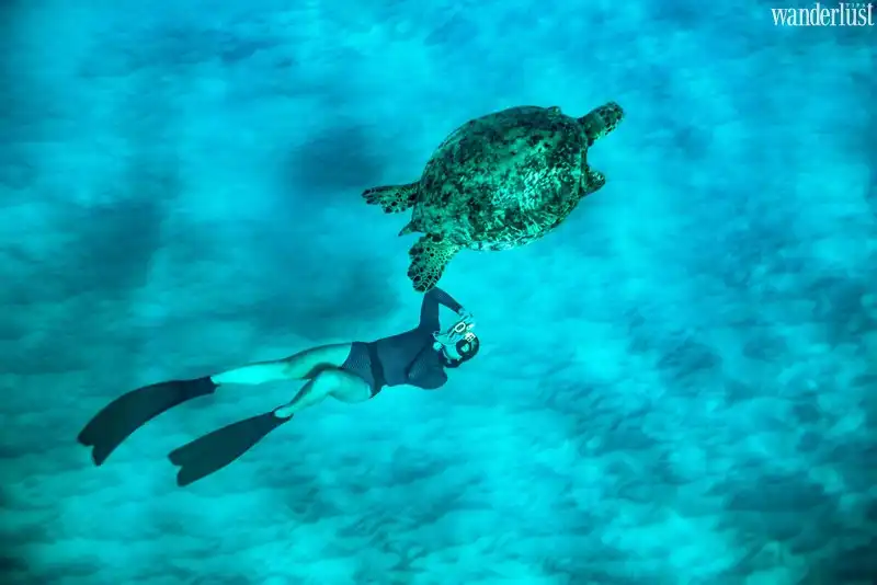 Bí quyết chụp hình dưới nước đẹp lung linh 6 Tạp chí du lịch Wanderlust Tips | Bí quyết chụp hình dưới nước đẹp lung linh