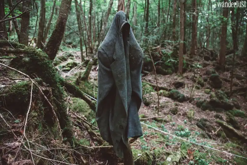 Ám ảnh khung cảnh khu rừng tự sát Aokigahara 8 Tạp chí Du lịch Wanderlust Tips | Ám ảnh khung cảnh khu rừng tự sát Aokigahara, Nhật Bản