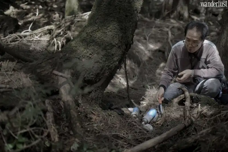 Ám ảnh khung cảnh khu rừng tự sát Aokigahara 6 wanderlust tips am anh khung canh khu rung tu sat aokigahara nhat ban7