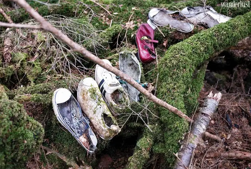 Ám ảnh khung cảnh khu rừng tự sát Aokigahara 10 wanderlust tips am anh khung canh khu rung tu sat aokigahara nhat ban9