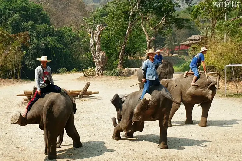 Chơi gì ở Chiang Mai vào buổi sáng? 7 Tạp chí Du lịch Wanderlust Tips | Chơi gì ở Chiang Mai vào buổi sáng?